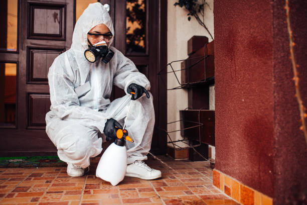 Reliable Ant Control contractor in Rutherford College, NC by Nex Pest Control