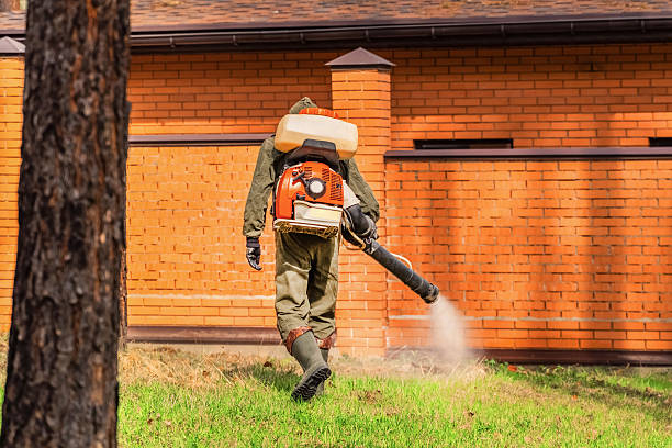 Trusted Mosquito Control service in Rutherford College, NC - Nex Pest Control